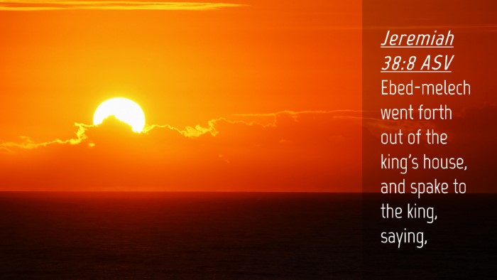 Picture 04 - Jeremiah 38:8 ASV Desktop Wallpaper - Ebed-melech went forth out of the king's house, - Desktop Bible Verse Wallpaper
