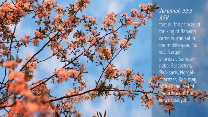 Picture 04 - Jeremiah 39:3 ASV Desktop Wallpaper - that all the princes of the king of Babylon came - Desktop Bible Verse Wallpaper