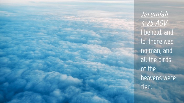 Picture 04 - Jeremiah 4:25 ASV Desktop Wallpaper - I beheld, and, lo, there was no man, and all the - Desktop Bible Verse Wallpaper