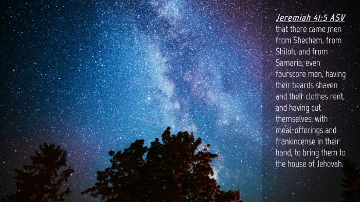Picture 04 - Jeremiah 41:5 ASV Desktop Wallpaper - that there came men from Shechem, from Shiloh, - Desktop Bible Verse Wallpaper