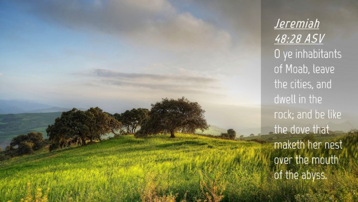 Picture 04 - Jeremiah 48:28 ASV Desktop Wallpaper - O ye inhabitants of Moab, leave the cities, and - Desktop Bible Verse Wallpaper