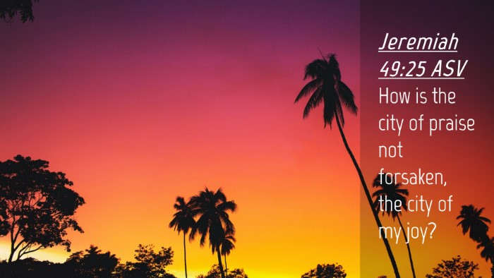 Picture 04 - Jeremiah 49:25 ASV Desktop Wallpaper - How is the city of praise not forsaken, the city - Desktop Bible Verse Wallpaper