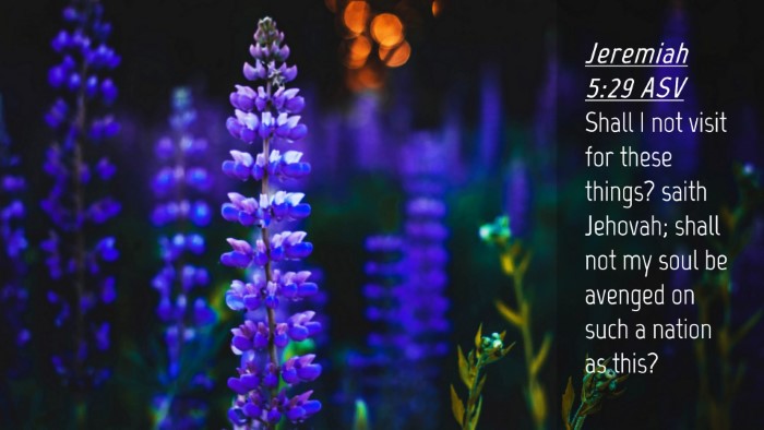 Picture 04 - Jeremiah 5:29 ASV Desktop Wallpaper - Shall I not visit for these things? saith - Desktop Bible Verse Wallpaper