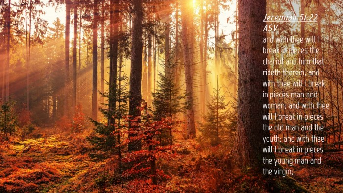 Picture 04 - Jeremiah 51:22 ASV Desktop Wallpaper - and with thee will I break in pieces the chariot - Desktop Bible Verse Wallpaper
