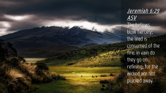Picture 04 - Jeremiah 6:29 ASV Desktop Wallpaper - The bellows blow fiercely; the lead is consumed - Desktop Bible Verse Wallpaper