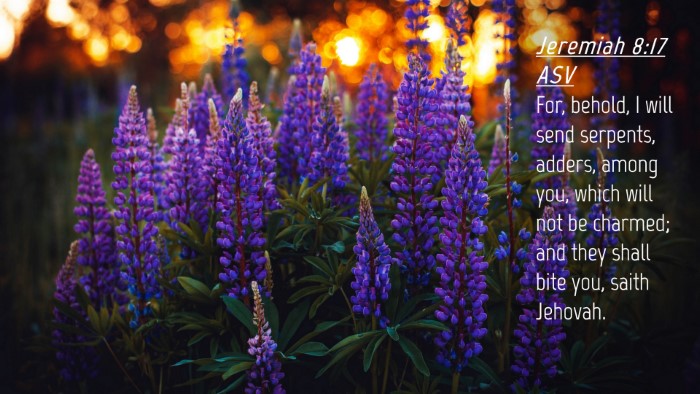 Picture 04 - Jeremiah 8:17 ASV Desktop Wallpaper - For, behold, I will send serpents, adders, among - Desktop Bible Verse Wallpaper