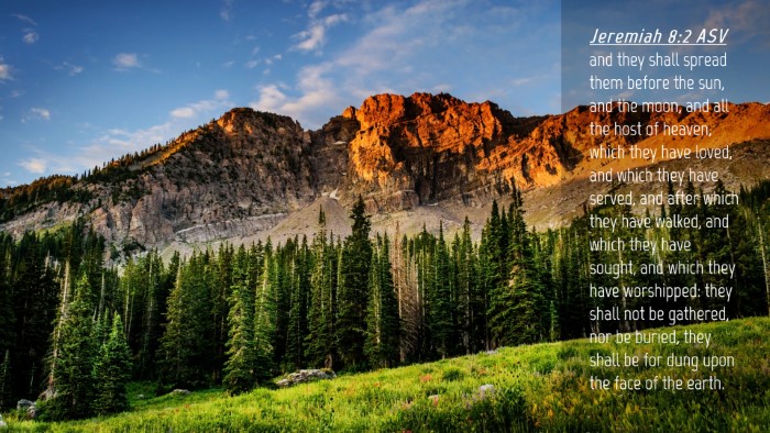 Picture 04 - Jeremiah 8:2 ASV Desktop Wallpaper - and they shall spread them before the sun, and - Desktop Bible Verse Wallpaper