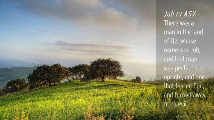 Picture 04 - Job 1:1 ASV Desktop Wallpaper - There was a man in the land of Uz, whose name was - Desktop Bible Verse Wallpaper