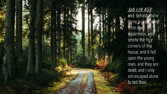 Picture 04 - Job 1:19 ASV Desktop Wallpaper - and, behold, there came a great wind from the - Desktop Bible Verse Wallpaper