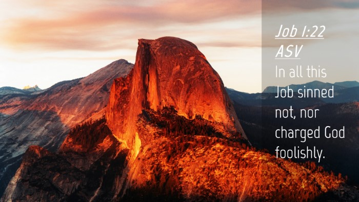 Picture 04 - Job 1:22 ASV Desktop Wallpaper - In all this Job sinned not, nor charged God - Desktop Bible Verse Wallpaper