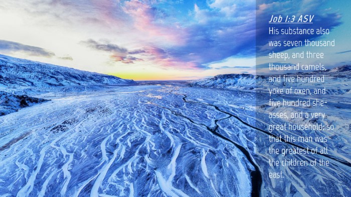 Picture 04 - Job 1:3 ASV Desktop Wallpaper - His substance also was seven thousand sheep, and - Desktop Bible Verse Wallpaper