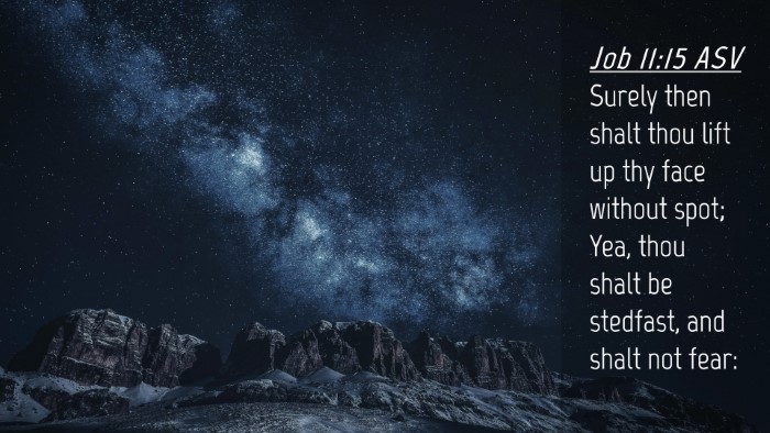 Picture 04 - Job 11:15 ASV Desktop Wallpaper - Surely then shalt thou lift up thy face without - Desktop Bible Verse Wallpaper