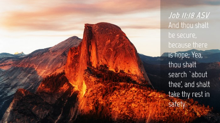Picture 04 - Job 11:18 ASV Desktop Wallpaper - And thou shalt be secure, because there is hope; - Desktop Bible Verse Wallpaper