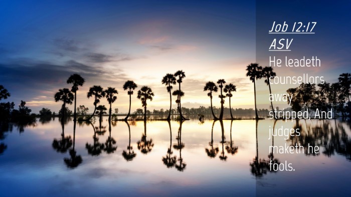 Picture 04 - Job 12:17 ASV Desktop Wallpaper - He leadeth counsellors away stripped, And judges - Desktop Bible Verse Wallpaper