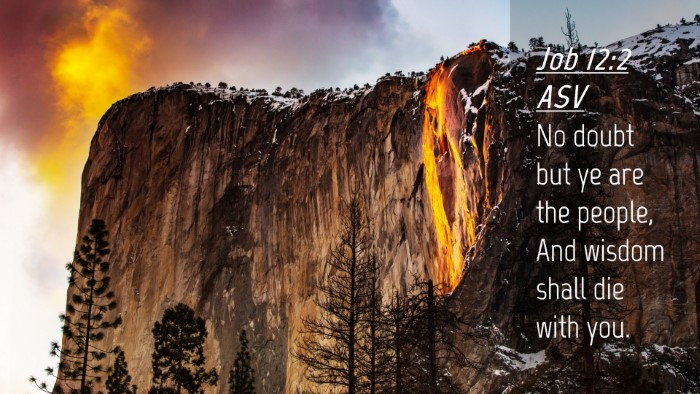 Picture 04 - Job 12:2 ASV Desktop Wallpaper - No doubt but ye are the people, And wisdom shall - Desktop Bible Verse Wallpaper