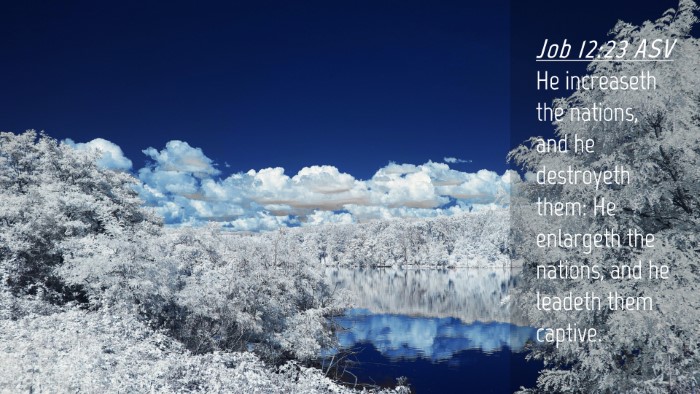 Picture 04 - Job 12:23 ASV Desktop Wallpaper - He increaseth the nations, and he destroyeth - Desktop Bible Verse Wallpaper