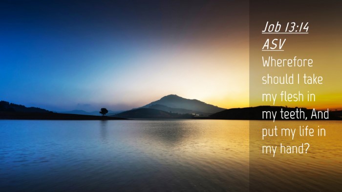 Picture 04 - Job 13:14 ASV Desktop Wallpaper - Wherefore should I take my flesh in my teeth, And - Desktop Bible Verse Wallpaper