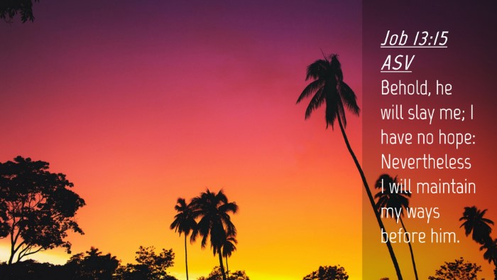 Picture 04 - Job 13:15 ASV Desktop Wallpaper - Behold, he will slay me; I have no hope: - Desktop Bible Verse Wallpaper