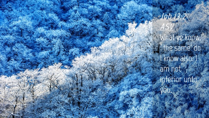 Picture 04 - Job 13:2 ASV Desktop Wallpaper - What ye know, `the same' do I know also: I am not - Desktop Bible Verse Wallpaper