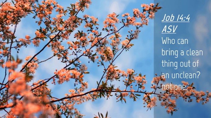Picture 04 - Job 14:4 ASV Desktop Wallpaper - Who can bring a clean thing out of an unclean? - Desktop Bible Verse Wallpaper