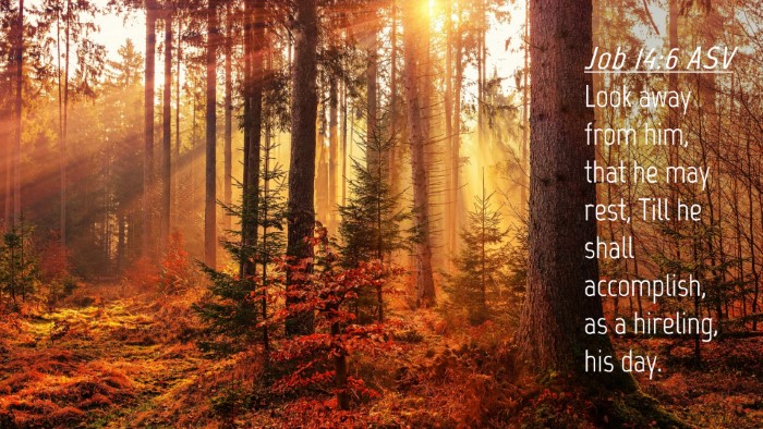 Picture 04 - Job 14:6 ASV Desktop Wallpaper - Look away from him, that he may rest, Till he - Desktop Bible Verse Wallpaper