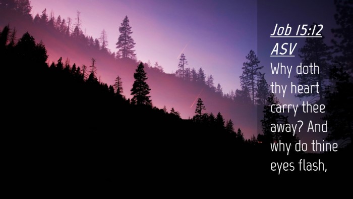 Picture 04 - Job 15:12 ASV Desktop Wallpaper - Why doth thy heart carry thee away? And why do - Desktop Bible Verse Wallpaper