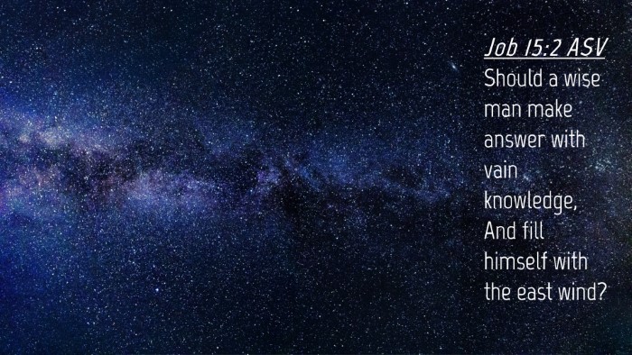 Picture 04 - Job 15:2 ASV Desktop Wallpaper - Should a wise man make answer with vain - Desktop Bible Verse Wallpaper