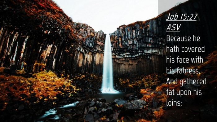 Picture 04 - Job 15:27 ASV Desktop Wallpaper - Because he hath covered his face with his - Desktop Bible Verse Wallpaper