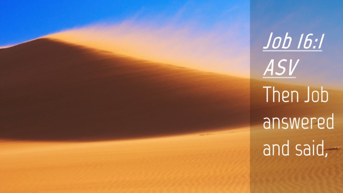 Picture 04 - Job 16:1 ASV Desktop Wallpaper - Then Job answered and - Desktop Bible Verse Wallpaper