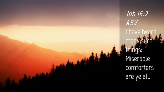 Picture 04 - Job 16:2 ASV Desktop Wallpaper - I have heard many such things: Miserable - Desktop Bible Verse Wallpaper