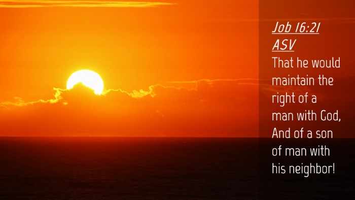 Picture 04 - Job 16:21 ASV Desktop Wallpaper - That he would maintain the right of a man with - Desktop Bible Verse Wallpaper