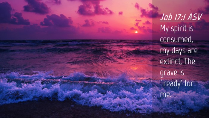 Picture 04 - Job 17:1 ASV Desktop Wallpaper - My spirit is consumed, my days are extinct, The - Desktop Bible Verse Wallpaper
