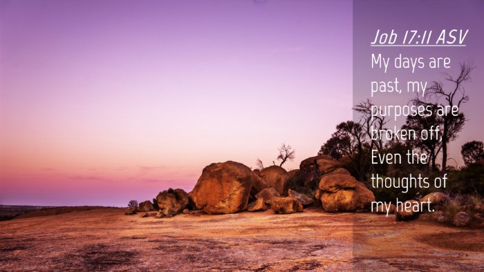 Picture 04 - Job 17:11 ASV Desktop Wallpaper - My days are past, my purposes are broken off, - Desktop Bible Verse Wallpaper