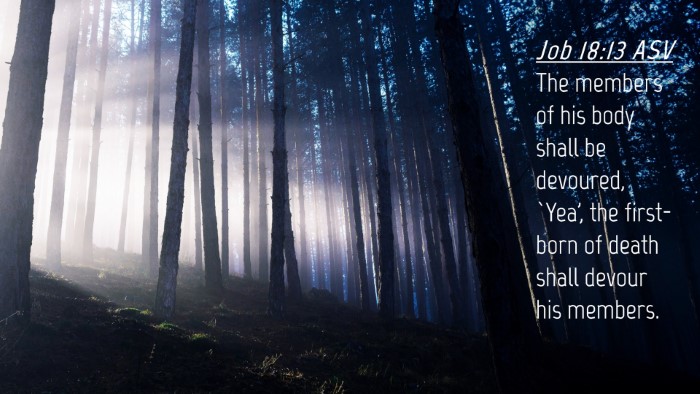 Picture 04 - Job 18:13 ASV Desktop Wallpaper - The members of his body shall be devoured, `Yea', - Desktop Bible Verse Wallpaper