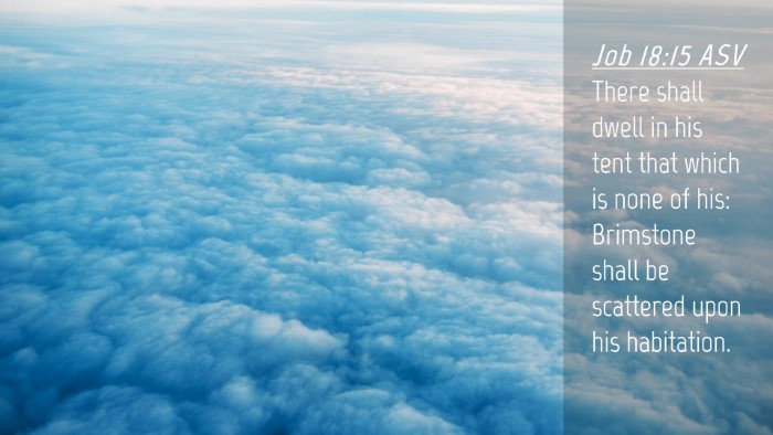 Picture 04 - Job 18:15 ASV Desktop Wallpaper - There shall dwell in his tent that which is none - Desktop Bible Verse Wallpaper