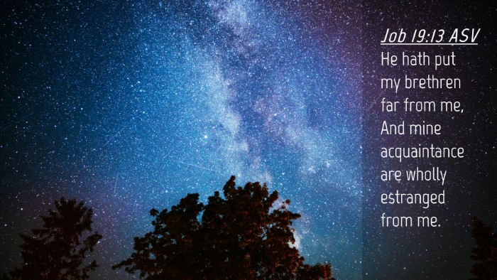 Picture 04 - Job 19:13 ASV Desktop Wallpaper - He hath put my brethren far from me, And mine - Desktop Bible Verse Wallpaper