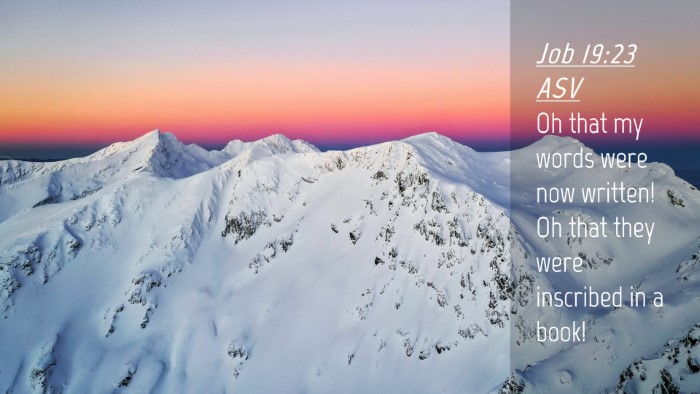 Picture 04 - Job 19:23 ASV Desktop Wallpaper - Oh that my words were now written! Oh that they - Desktop Bible Verse Wallpaper