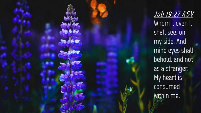 Picture 04 - Job 19:27 ASV Desktop Wallpaper - Whom I, even I, shall see, on my side, And mine - Desktop Bible Verse Wallpaper