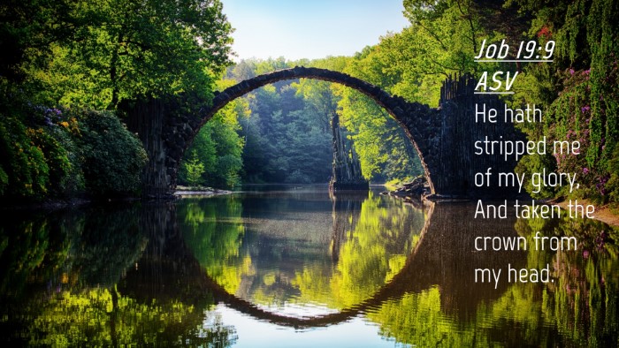 Picture 04 - Job 19:9 ASV Desktop Wallpaper - He hath stripped me of my glory, And taken the - Desktop Bible Verse Wallpaper