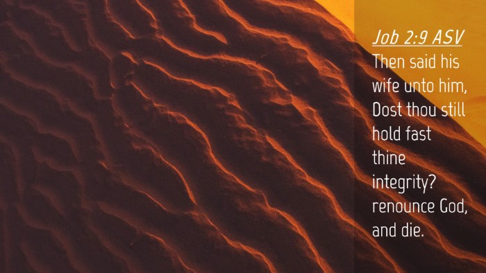 Picture 04 - Job 2:9 ASV Desktop Wallpaper - Then said his wife unto him, Dost thou still hold - Desktop Bible Verse Wallpaper