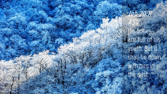Picture 04 - Job 20:11 ASV Desktop Wallpaper - His bones are full of his youth, But it shall lie - Desktop Bible Verse Wallpaper