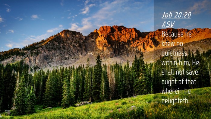 Picture 04 - Job 20:20 ASV Desktop Wallpaper - Because he knew no quietness within him, He shall - Desktop Bible Verse Wallpaper