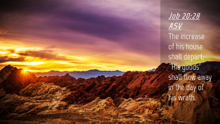 Picture 04 - Job 20:28 ASV Desktop Wallpaper - The increase of his house shall depart; `His - Desktop Bible Verse Wallpaper