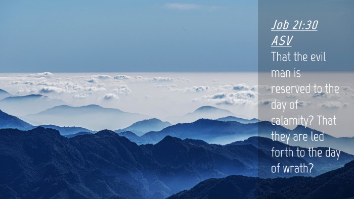 Picture 04 - Job 21:30 ASV Desktop Wallpaper - That the evil man is reserved to the day of - Desktop Bible Verse Wallpaper