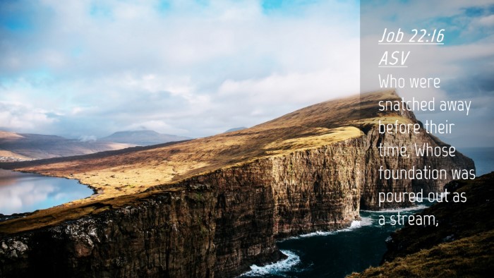 Picture 04 - Job 22:16 ASV Desktop Wallpaper - Who were snatched away before their time, Whose - Desktop Bible Verse Wallpaper