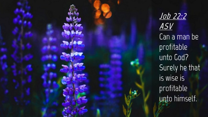 Picture 04 - Job 22:2 ASV Desktop Wallpaper - Can a man be profitable unto God? Surely he that - Desktop Bible Verse Wallpaper
