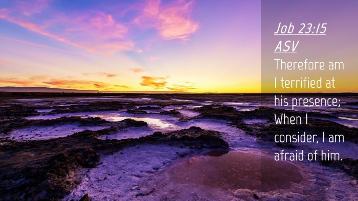 Picture 04 - Job 23:15 ASV Desktop Wallpaper - Therefore am I terrified at his presence; When I - Desktop Bible Verse Wallpaper