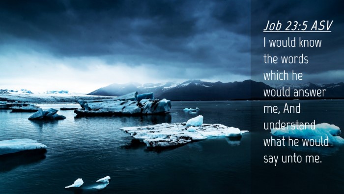Picture 04 - Job 23:5 ASV Desktop Wallpaper - I would know the words which he would answer me, - Desktop Bible Verse Wallpaper