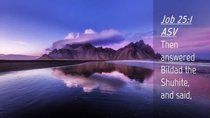 Picture 04 - Job 25:1 ASV Desktop Wallpaper - Then answered Bildad the Shuhite, and - Desktop Bible Verse Wallpaper