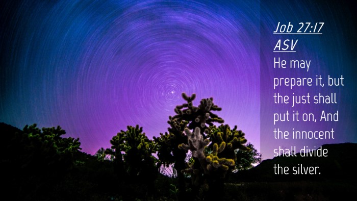 Picture 04 - Job 27:17 ASV Desktop Wallpaper - He may prepare it, but the just shall put it on, - Desktop Bible Verse Wallpaper